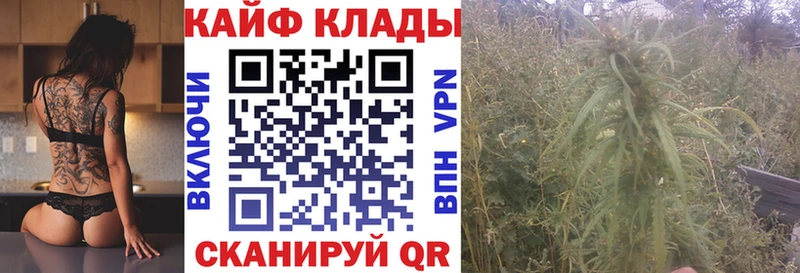 Что такое Курганинск ГАШ MEGA вход Псилоцибиновые грибы АМФЕТАМИН Кокаин Меф мяу мяу A-PVP