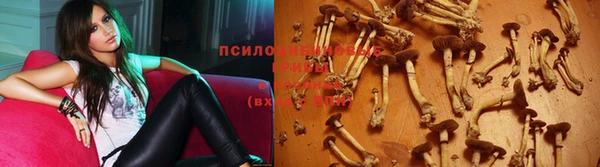 стафф Куйбышев
