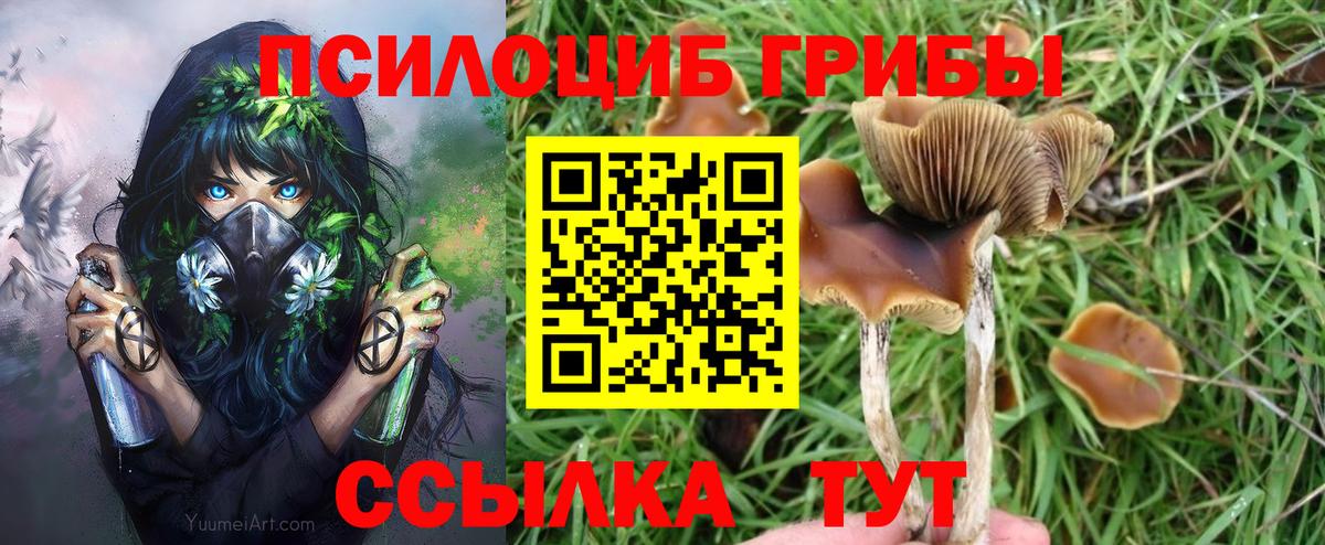 Галлюциногенные грибы GOLDEN TEACHER  Вход с VPN  Курганинск  Галлюциногенные грибы Magic Shrooms 